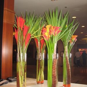 Meet your Posher, Denise